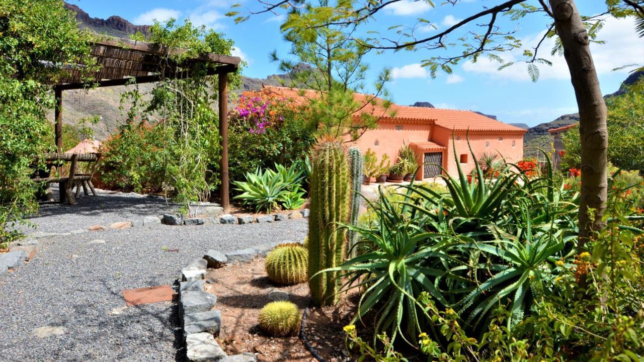 Finca Las Olivas - Unique Country House With Heated Pool Maspalomas  Exterior foto
