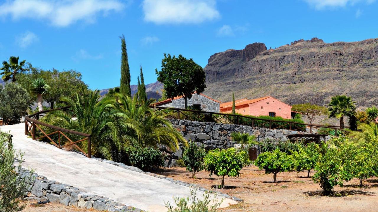 Finca Las Olivas - Unique Country House With Heated Pool Maspalomas  Exterior foto